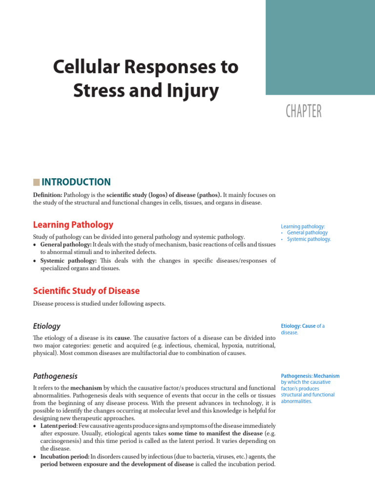 Cellular Responses To Stress and Injury | PDF | Epithelium ...