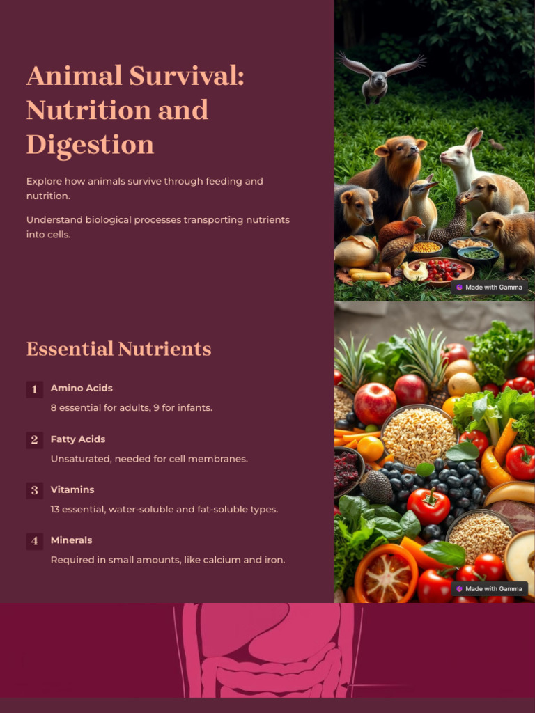 Animal Nutrition and Essential Nutrients | PDF | Digestion | Small ...