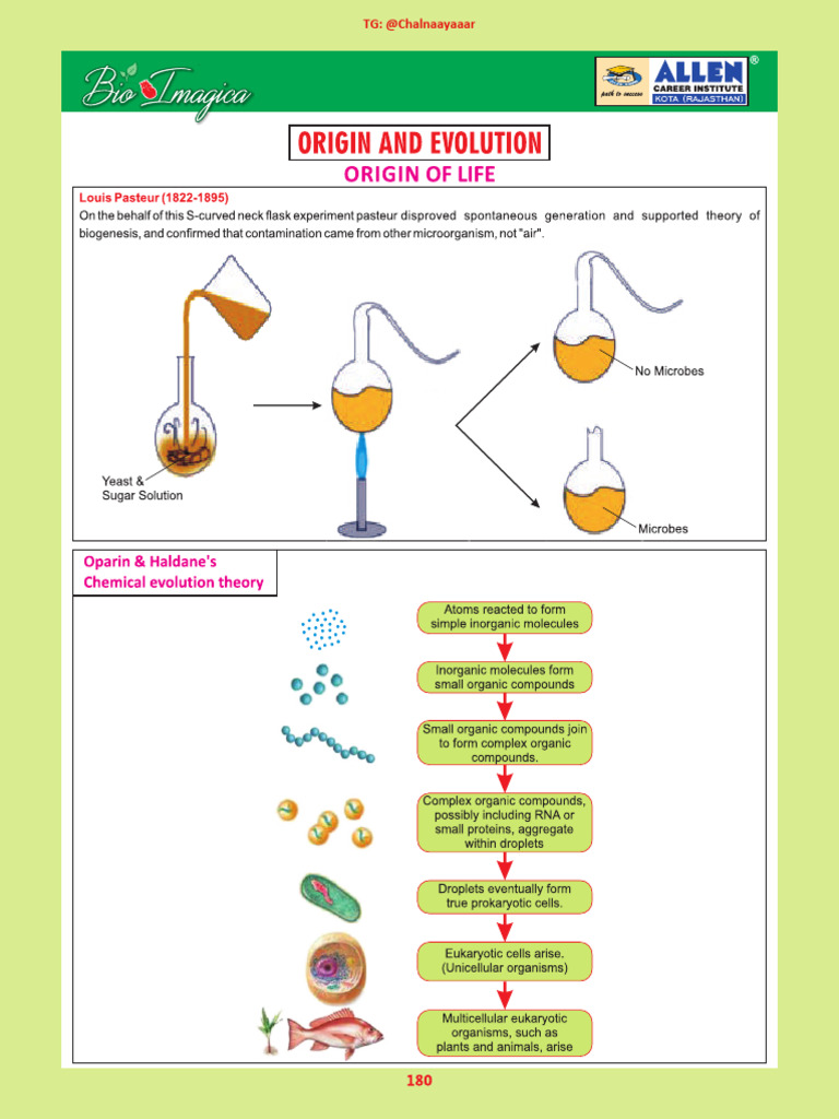 Ch.19 Origin and Evolution | PDF