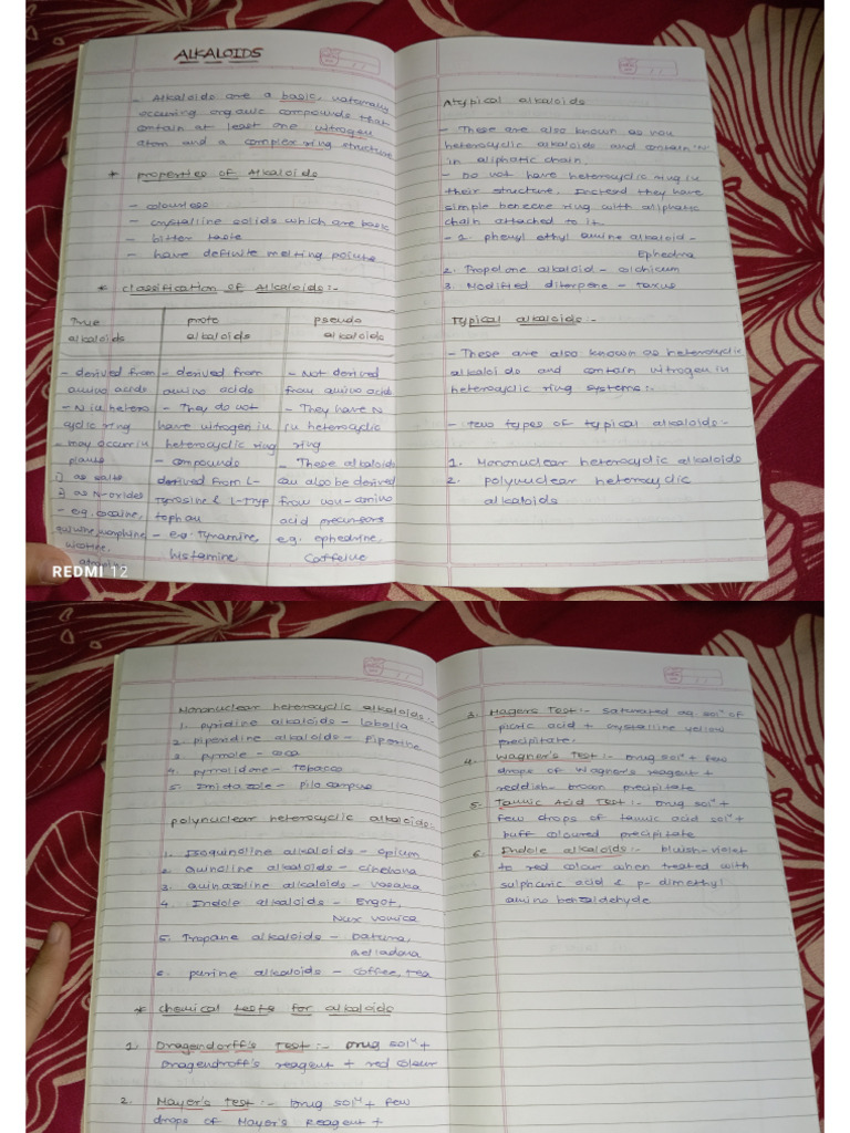 Cognosy Assignment | PDF