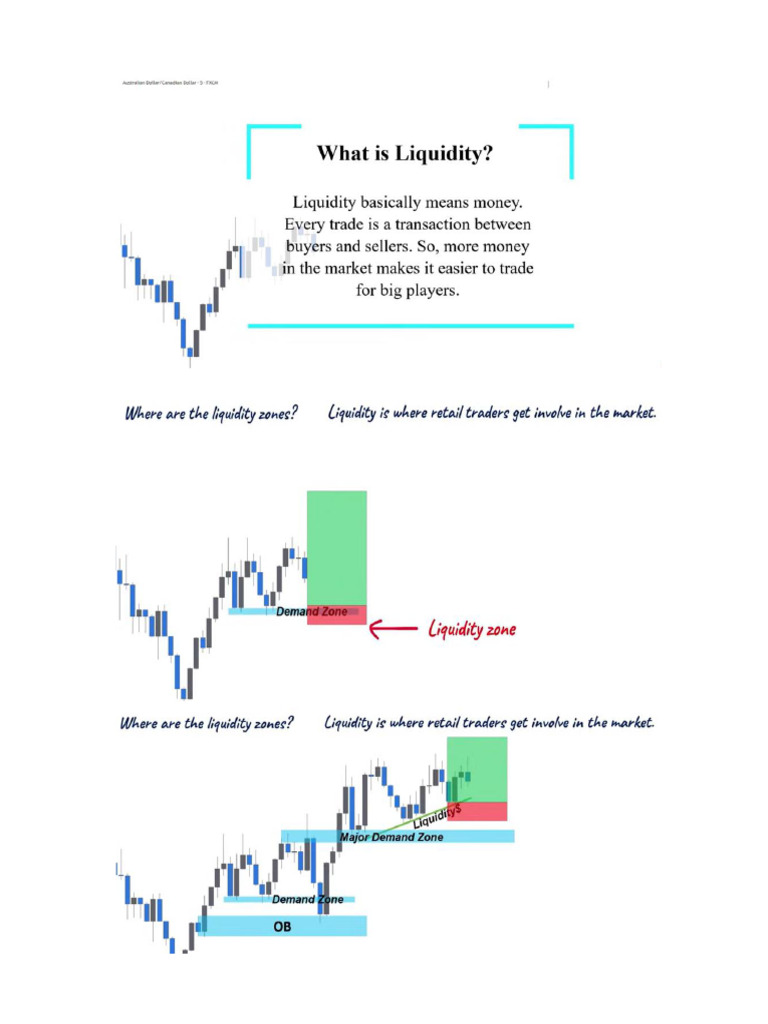 Liquidity | PDF