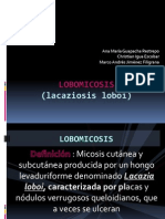 Lobomicosis Finale