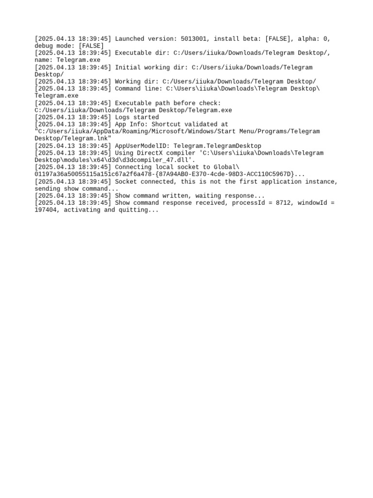 Telegram Desktop Launch Log | PDF