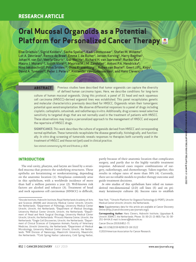 口腔黏膜类器官作为个性化癌症治疗 | PDF | Head And Neck Cancer | P53