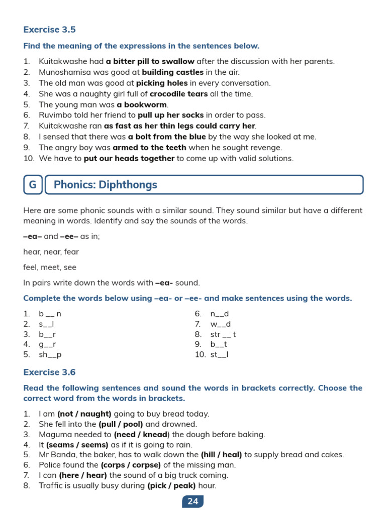 Understanding Idioms and Phonics Exercises | PDF