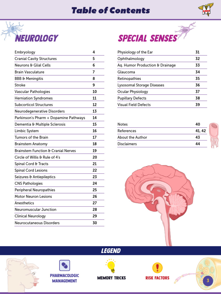 Neurology Study Guide Overview | PDF | Nervous System | Human Anatomy