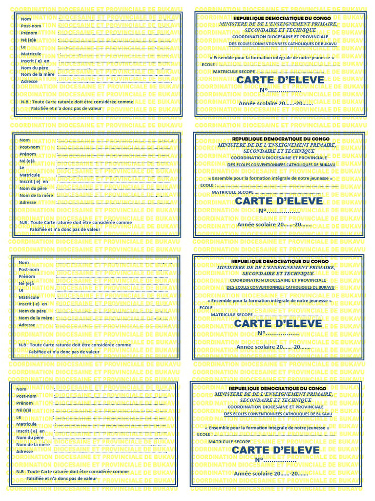 Carte Scolaire Élève RDC 2025 | PDF | Écoles | Jeunesse