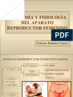 Anatoma y Fisiologa Del Aparato Re Product Or Femenino 1193079935919884 5