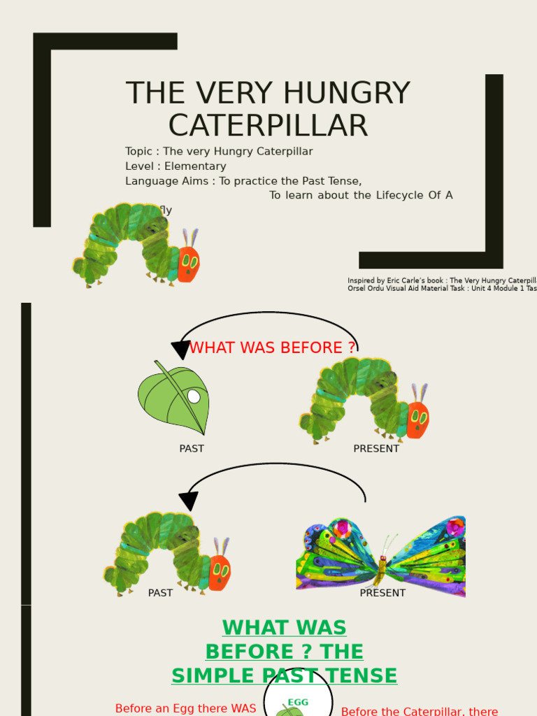 VISUAL AID TASK | PDF