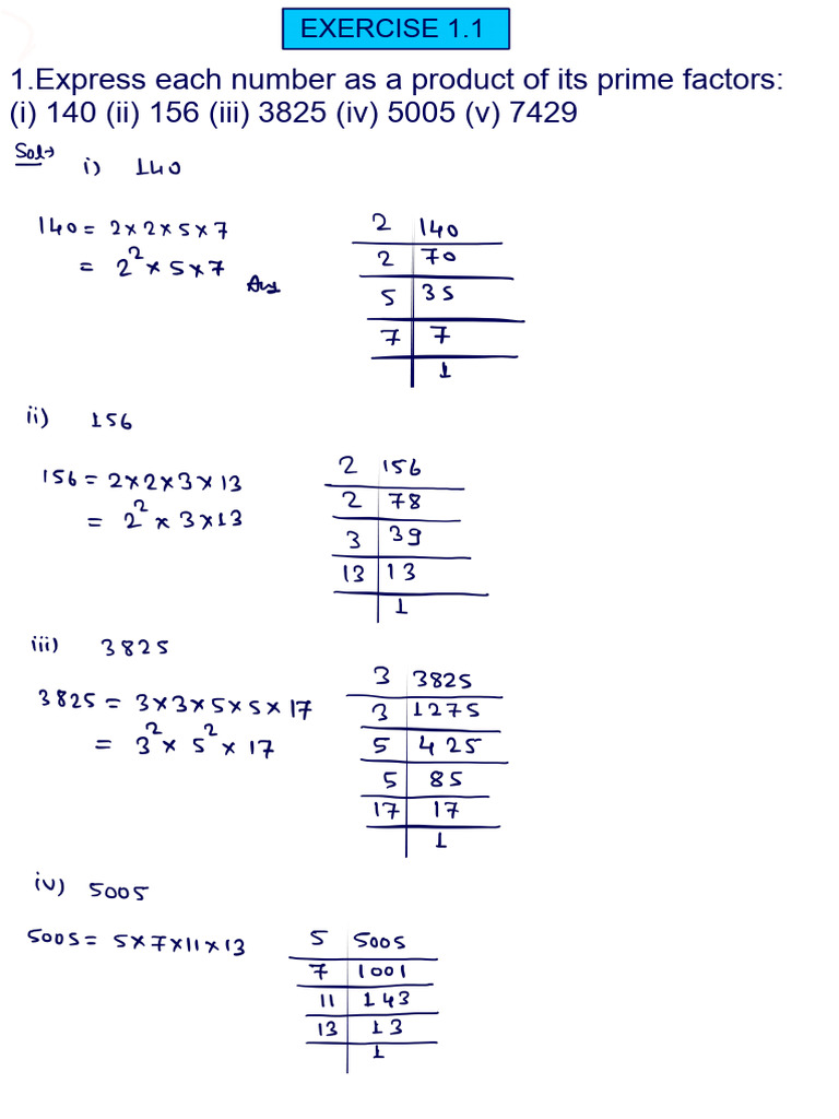 10th - 1 Real Numbers (Solutions) | PDF