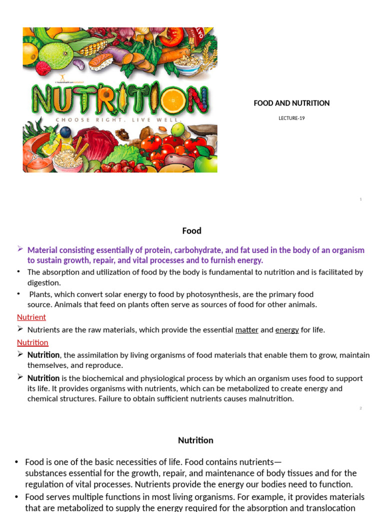 Understanding Food and Nutrition Basics | PDF | Trans Fat | Fat