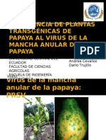 Resistencia de Plantas Transgénicas de Papaya Al Virus de La Mancha Anular de La Papaya