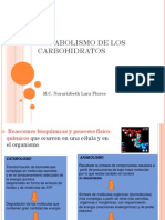 Metabolismo de Carbohidratos Ene2012