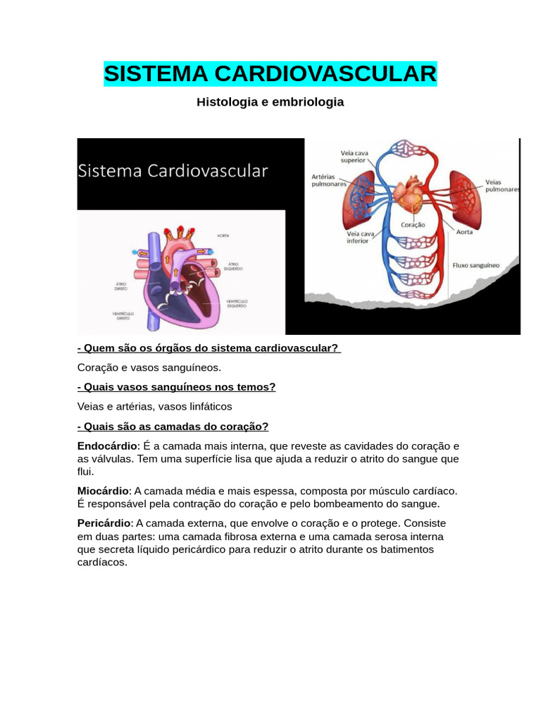 Estrutura e Função do Sistema Cardiovascular | PDF | Artéria | Coração