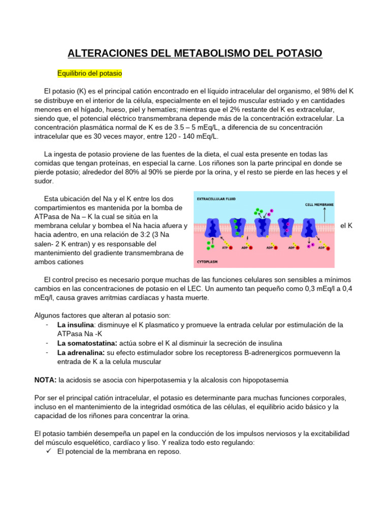 Alteraciones del Metabolismo del Potasio | PDF | Potasio | Química
