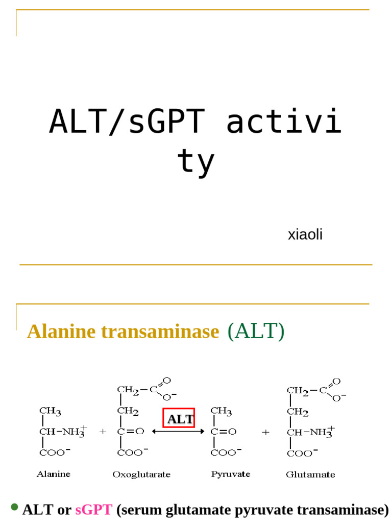 ALT and AST Enzyme Activity Overview | PDF | Alanine Transaminase | Liver
