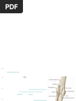 Understanding Elbow Skin: Wenis Explained | PDF | Elbow | Limbs (Anatomy)