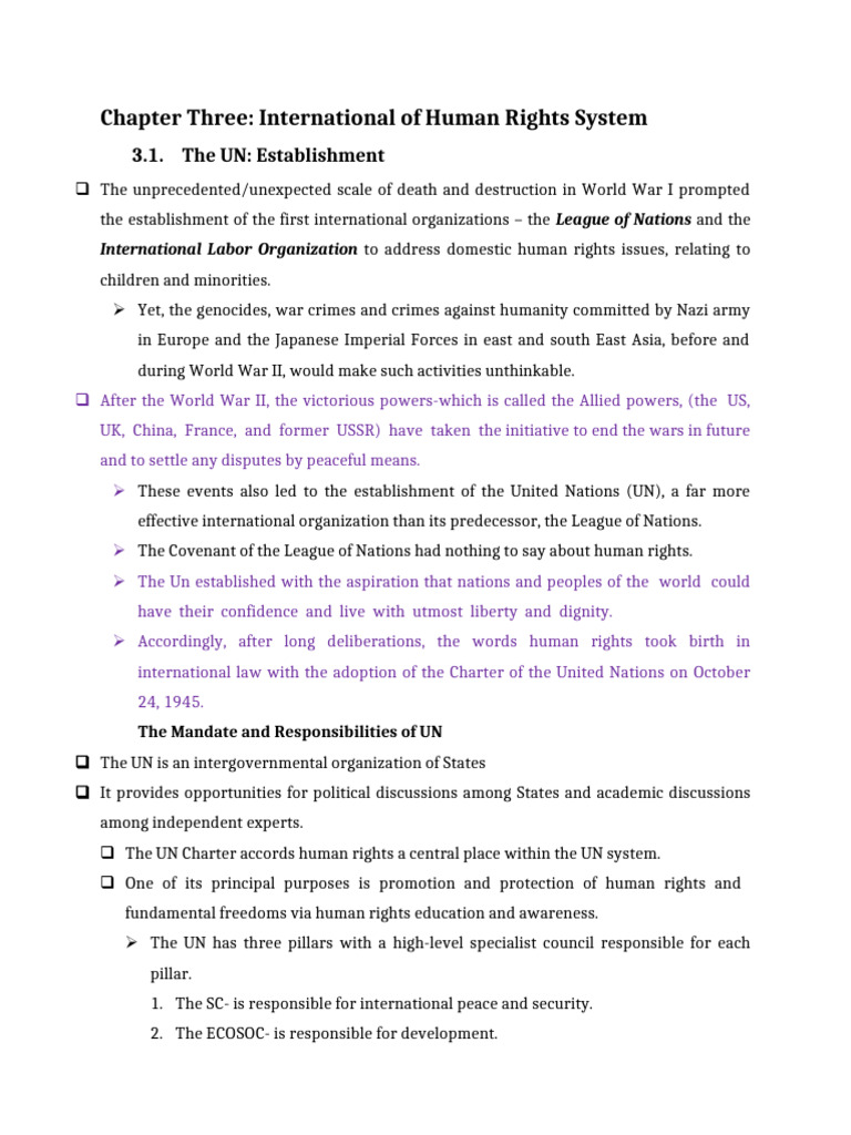 UN Human Rights System Overview | PDF | Human Rights | International ...