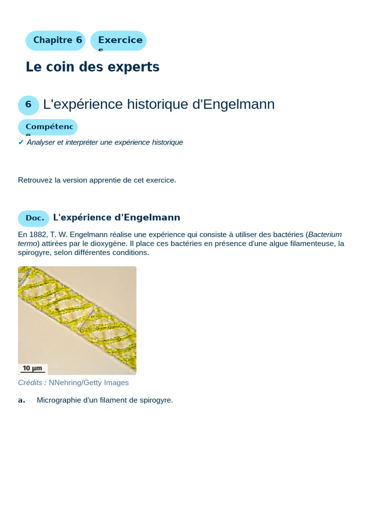 Analyse de l'expérience Engelmann | PDF | Kebab | Cuisine