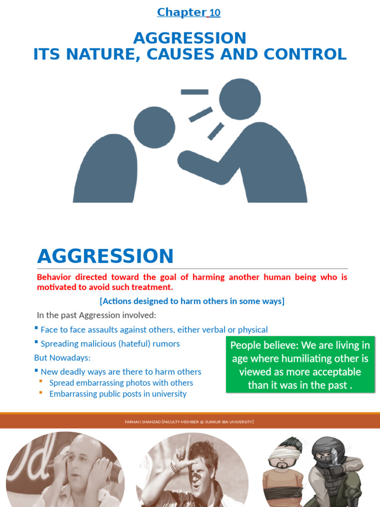 Chapter 10 Agression -INS | PDF | Aggression | Bullying