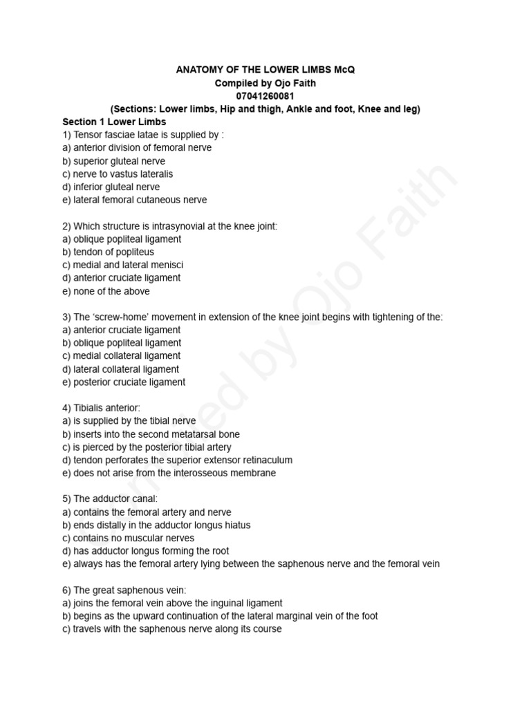 Anatomy of the Lower Limbs MCQs | PDF | Human Leg | Knee