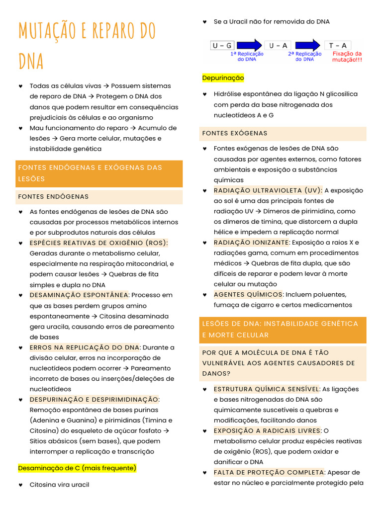 Mutação e Reparo Do Dna 2 | PDF | Mutação | DNA