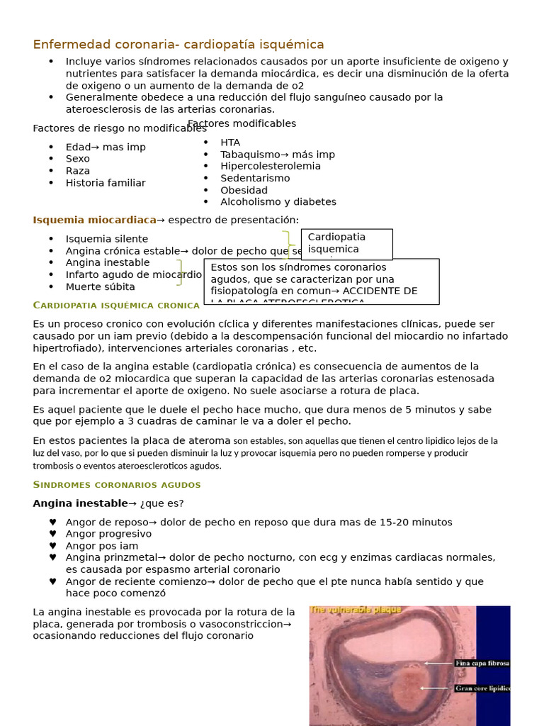 Enfermedad Coronaria y Síndromes Isquémicos | PDF | Infarto de ...
