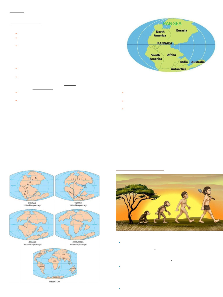 Origen de La Tierra y El Ser Humano | PDF | Homo | Evolución humana