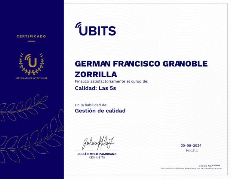 Calidad 5s Certificado | PDF