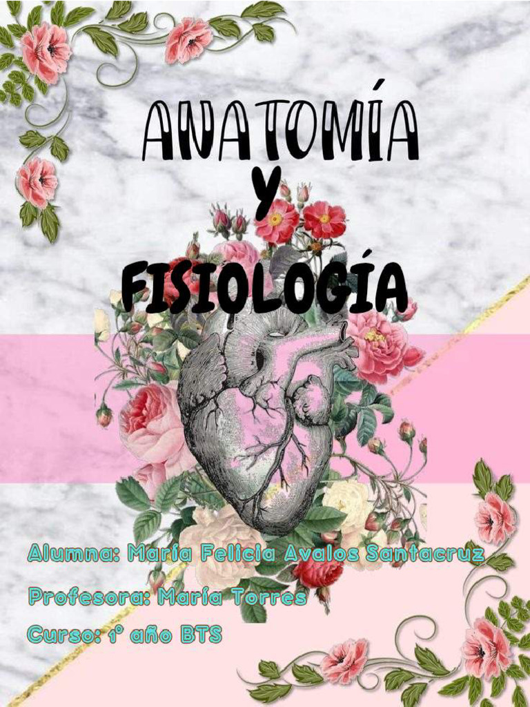 Anatomía Y Fisiología Pdf