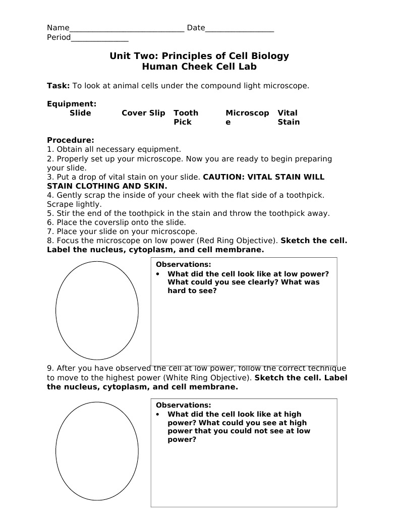 Unit Two: Principles of Cell Biology Human Cheek Cell Lab | PDF ...