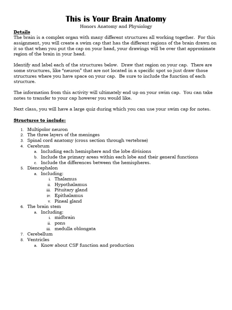 Brain Anatomy Swim Cap Project | PDF