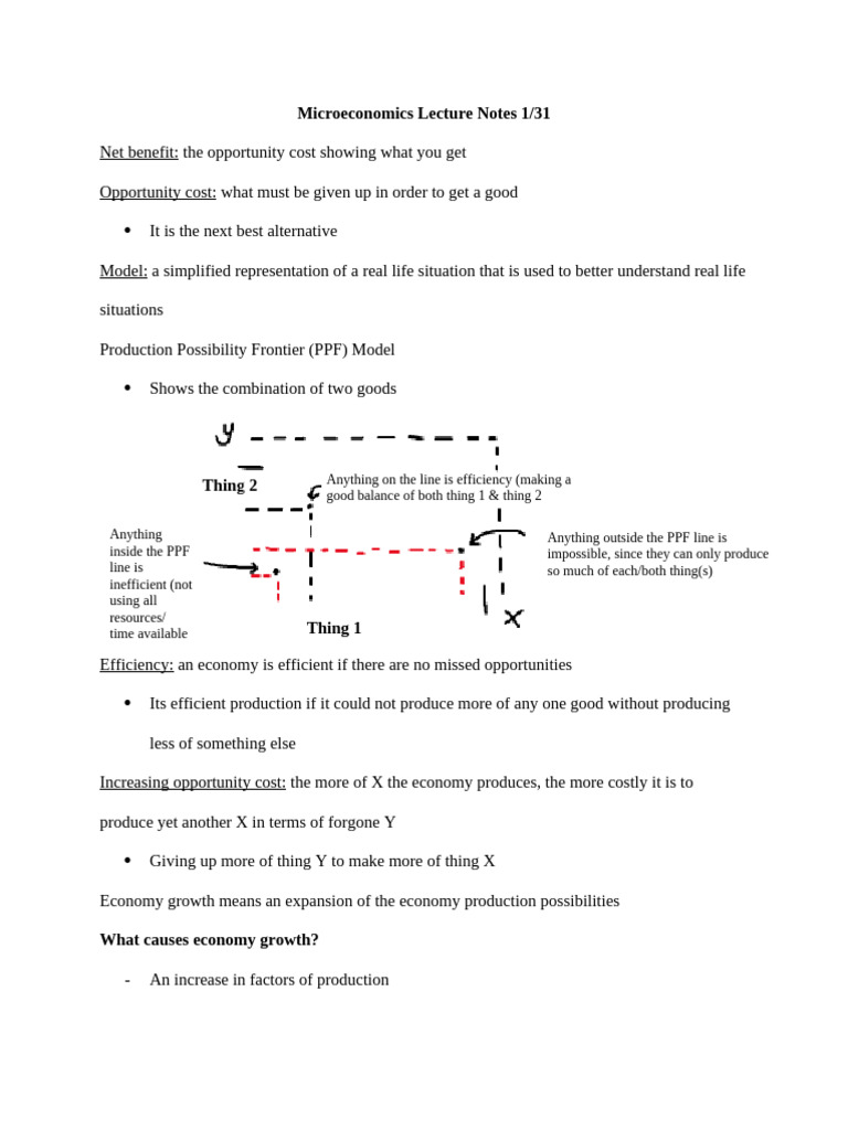 Microeconomics Lecture Notes 1.31 | PDF