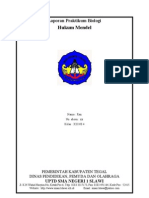 Laporan Praktikum Biologi Hukum Mendel