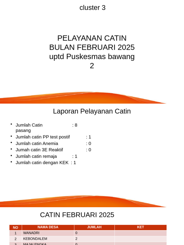 PPT CATIN FEBRUARI KLUSTER 3 | PDF