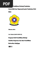 Download Laporan Praktikum Fisiologi Tumbuhan Gerak Nikti Dan Tigmonasti Pada Putri Malu by Purwani Febriyanti SN85004969 doc pdf