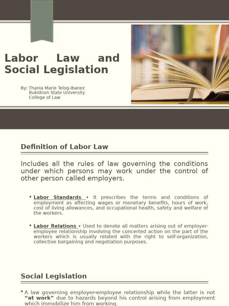 Labor Law and Social Legislation Overview | PDF | Cost Of Living ...