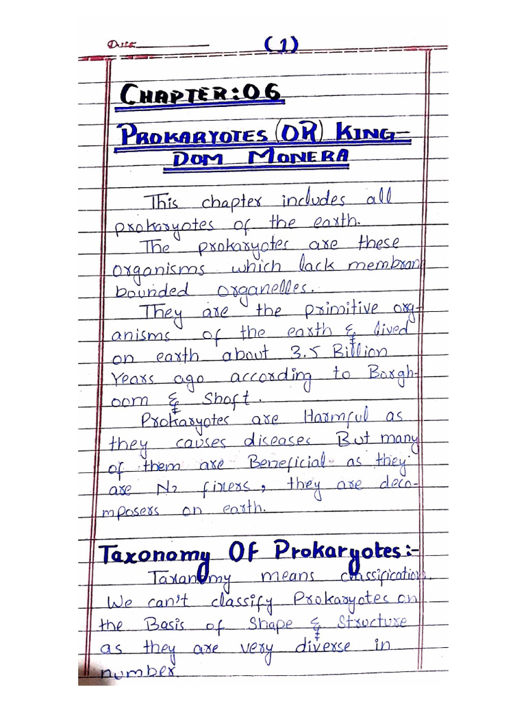 Prokaryotes | PDF