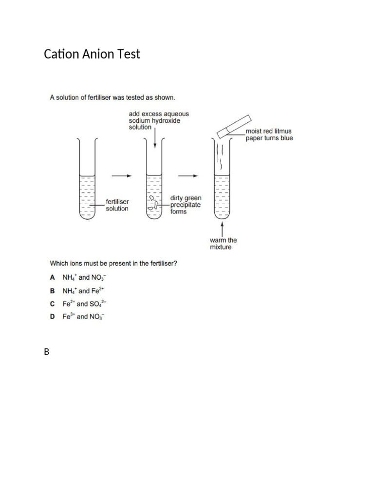 Cation Anion Test | PDF