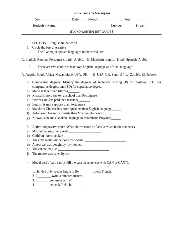 Grade 8 English Test: Language Skills | PDF