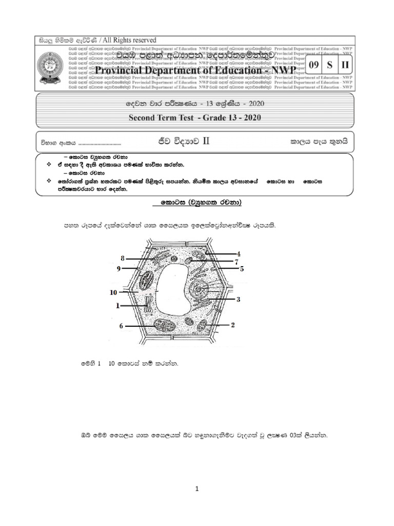 Document Structure and Analysis Guide | PDF