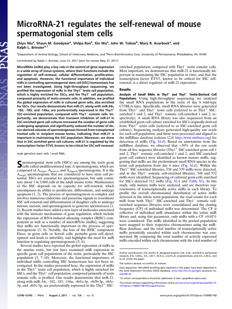 miR-21's Role in Mouse SSC Self-Renewal | PDF | Stem Cell | Cellular ...