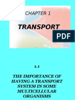 1.1 The Imp of Having A Transport System