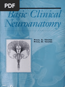 Basic Clinical Neuroanatomy (Periodicals) -- Paul A_ Young; Paul Henry Young -- 1st Ed_, Baltimore, Maryland, 1997 -- Williams and Wilkins -- 9780683093513 -- 02b47fbbf9056954ef70754f490ab030 -- Anna’s Archive
