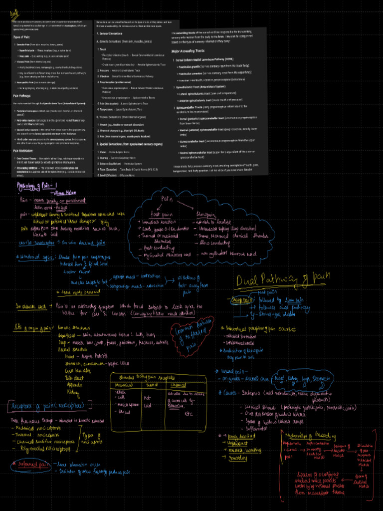 Physiology of Pain | PDF
