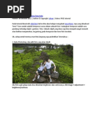 Download Photoshop by Gema Roses SN85011717 doc pdf