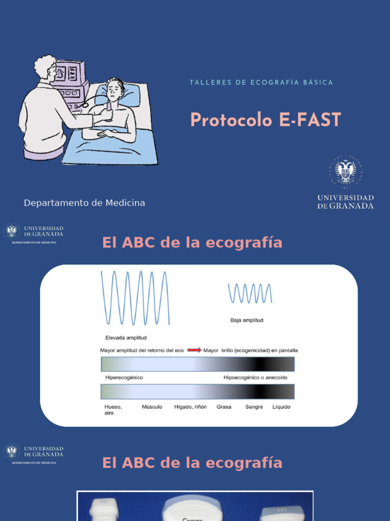 Guía de Ecografía en Trauma E-FAST | PDF | Ultrasonido médico ...