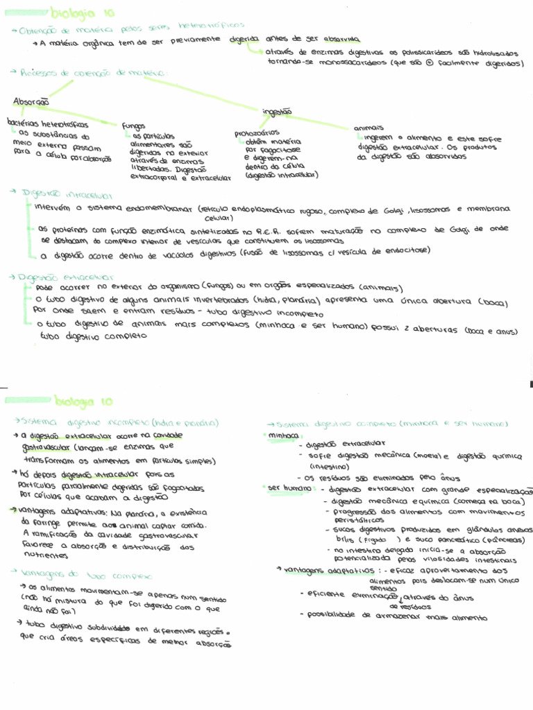 Domínio 2 Biologia 10 | PDF