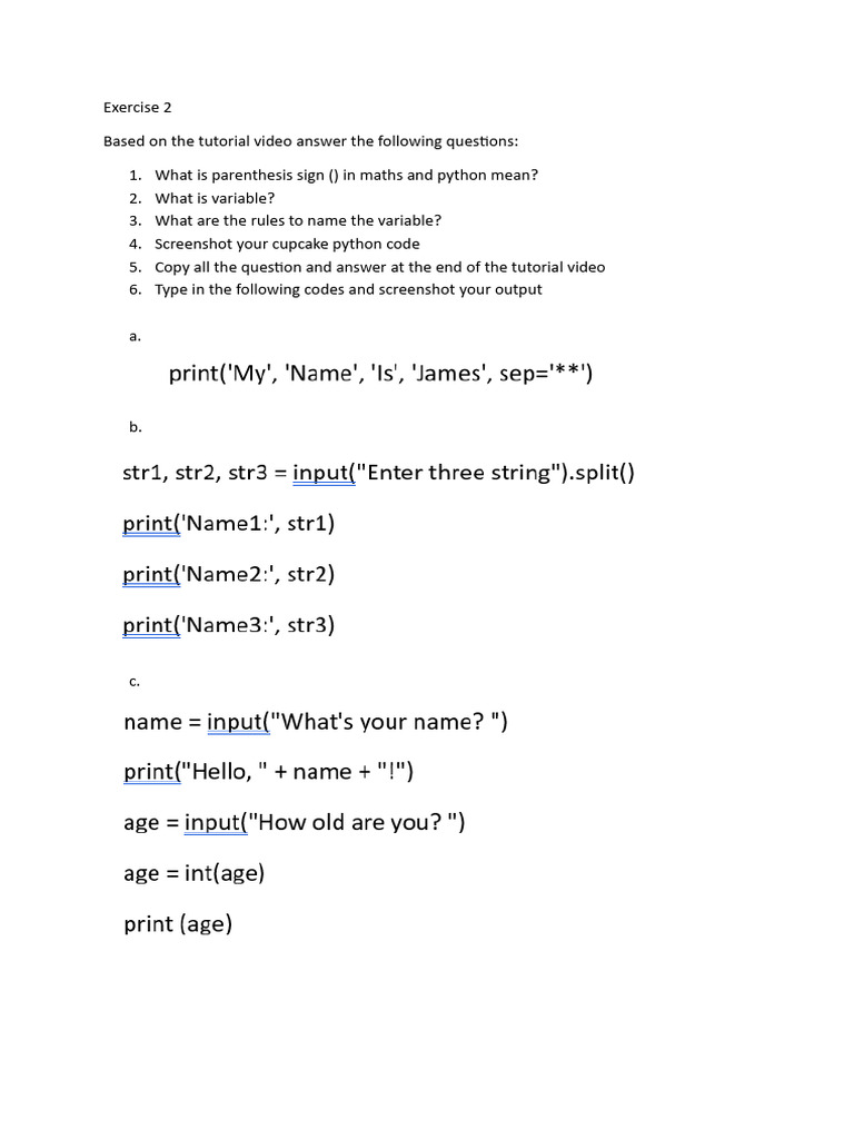 Python Basics: Variables and Syntax | PDF