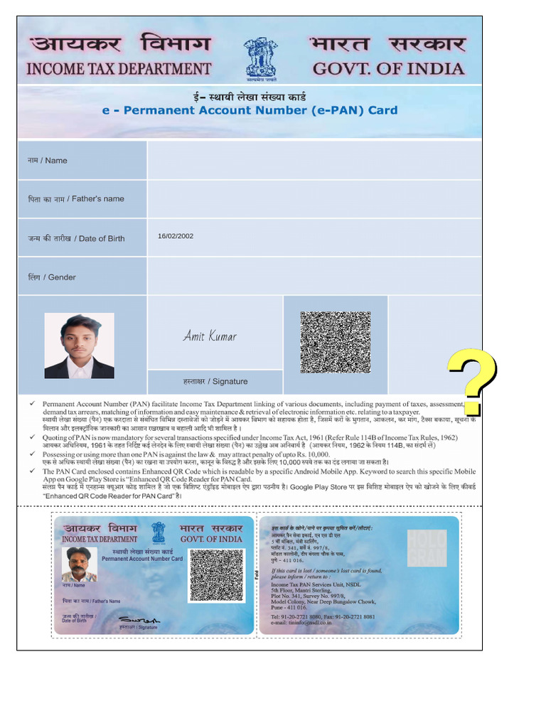 Digital PAN Verification Document | PDF